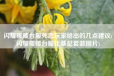 闪耀暖暖台服死忠玩家给出的几点建议(闪耀暖暖台服比基尼套装图片)