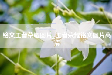 铭文王者荣耀图片_王者荣耀铭文图片高清