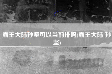 霸王大陆孙坚可以当前排吗(霸王大陆 孙坚)