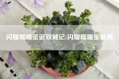 闪耀暖暖圣诞双城记(闪耀暖暖圣诞阁)