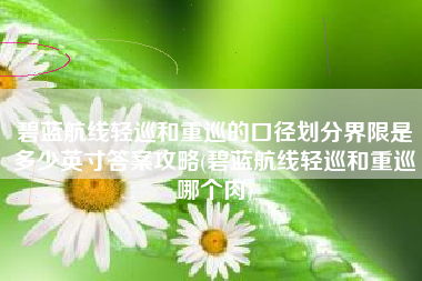 碧蓝航线轻巡和重巡的口径划分界限是多少英寸答案攻略(碧蓝航线轻巡和重巡哪个肉)