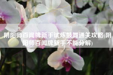 阴阳师百闻牌新手试炼鼓舞通关攻略(阴阳师百闻牌新手不能分解)