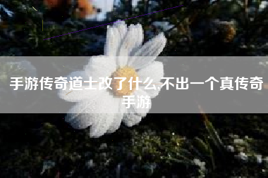 手游传奇道士改了什么,不出一个真传奇手游