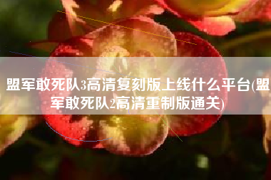 盟军敢死队3高清复刻版上线什么平台(盟军敢死队2高清重制版通关)