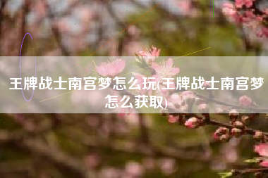 王牌战士南宫梦怎么玩(王牌战士南宫梦怎么获取)