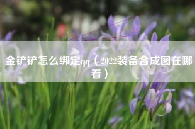 金铲铲怎么绑定qq（2022装备合成图在哪看）