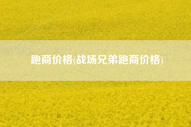 跑商价格(战场兄弟跑商价格)