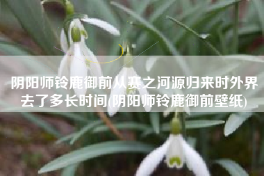 阴阳师铃鹿御前从赛之河源归来时外界去了多长时间(阴阳师铃鹿御前壁纸)