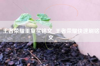王者荣耀重复买铭文_王者荣耀快速刷铭文