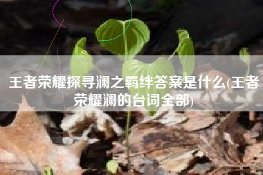 王者荣耀探寻澜之羁绊答案是什么(王者荣耀澜的台词全部)