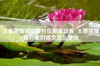 王者荣耀铭文背包在哪里设置_王者荣耀背包里的铭文怎么使用