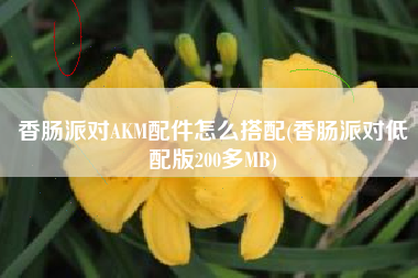香肠派对AKM配件怎么搭配(香肠派对低配版200多MB)