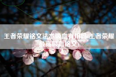 王者荣耀铭文法术吸血有用吗(王者荣耀最高吸血铭文)