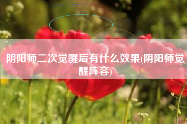 阴阳师二次觉醒后有什么效果(阴阳师觉醒阵容)