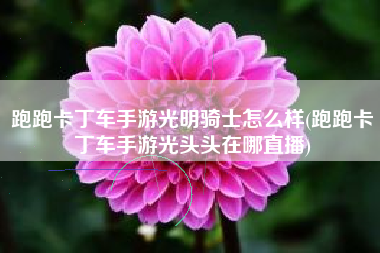 跑跑卡丁车手游光明骑士怎么样(跑跑卡丁车手游光头头在哪直播)