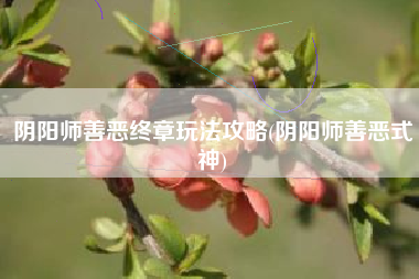 阴阳师善恶终章玩法攻略(阴阳师善恶式神)