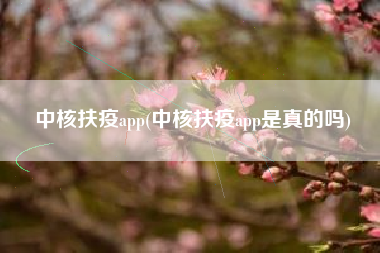 中核扶疫app(中核扶疫app是真的吗)