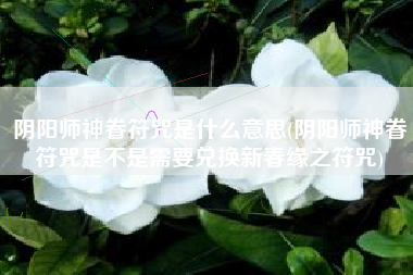阴阳师神眷符咒是什么意思(阴阳师神眷符咒是不是需要兑换新春缘之符咒)