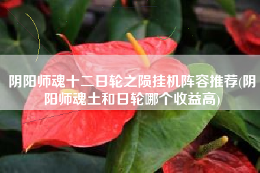 阴阳师魂十二日轮之陨挂机阵容推荐(阴阳师魂土和日轮哪个收益高)