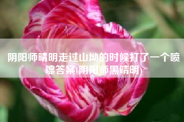 阴阳师晴明走过山坳的时候打了一个喷嚏答案(阴阳师黑晴明)