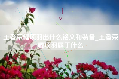 王者荣耀项羽出什么铭文和装备_王者荣耀项羽属于什么