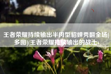 王者荣耀持续输出半肉型貂蝉秀翻全场[多图](王者荣耀持续输出的战士)