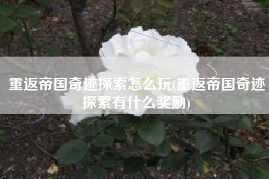 重返帝国奇迹探索怎么玩(重返帝国奇迹探索有什么奖励)