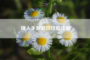 镖人手游霸均技能详解