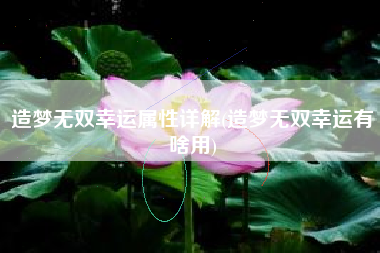造梦无双幸运属性详解(造梦无双幸运有啥用)