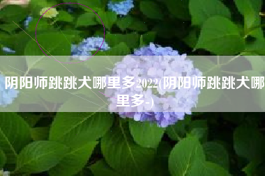 阴阳师跳跳犬哪里多2022(阴阳师跳跳犬哪里多-)