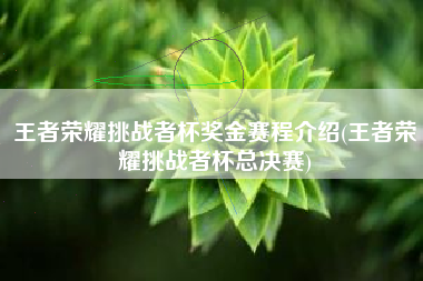 王者荣耀挑战者杯奖金赛程介绍(王者荣耀挑战者杯总决赛)