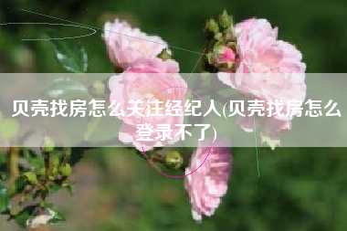 贝壳找房怎么关注经纪人(贝壳找房怎么登录不了)