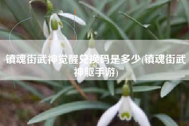 镇魂街武神觉醒兑换码是多少(镇魂街武神躯手游)