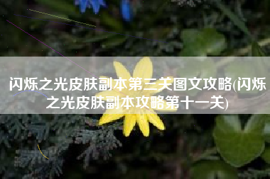 闪烁之光皮肤副本第三关图文攻略(闪烁之光皮肤副本攻略第十一关)