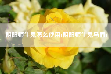 阴阳师牛鬼怎么使用(阴阳师牛鬼马面)