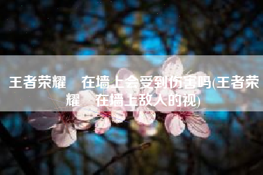 王者荣耀暃在墙上会受到伤害吗(王者荣耀暃在墙上敌人的视)