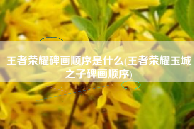 王者荣耀碑画顺序是什么(王者荣耀玉城之子碑画顺序)