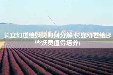 长安幻世绘妖灵如何分解(长安幻世绘哪些妖灵值得培养)