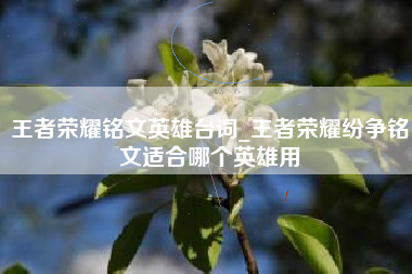 王者荣耀铭文英雄台词_王者荣耀纷争铭文适合哪个英雄用