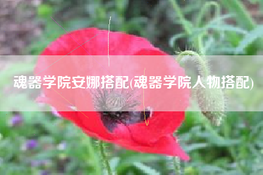 魂器学院安娜搭配(魂器学院人物搭配)