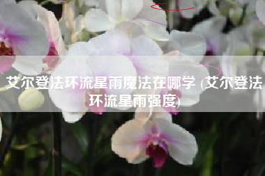 艾尔登法环流星雨魔法在哪学 (艾尔登法环流星雨强度)