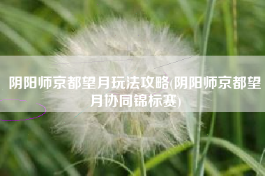 阴阳师京都望月玩法攻略(阴阳师京都望月协同锦标赛)