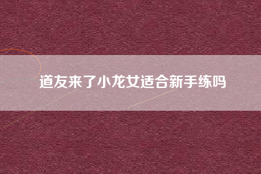 道友来了小龙女适合新手练吗