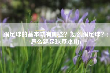 踢足球的基本功有哪些？怎么踢足球？(怎么踢足球基本功)