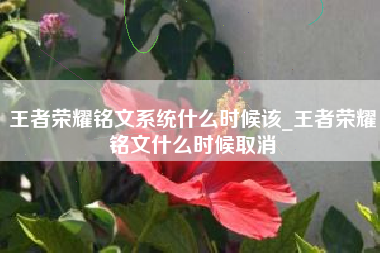 王者荣耀铭文系统什么时候该_王者荣耀铭文什么时候取消