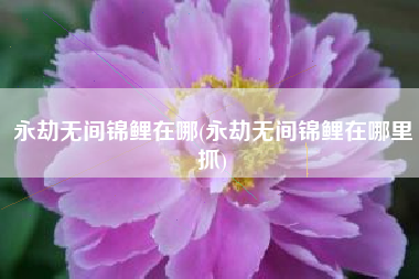 永劫无间锦鲤在哪(永劫无间锦鲤在哪里抓)