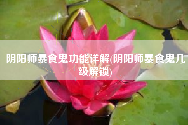 阴阳师暴食鬼功能详解(阴阳师暴食鬼几级解锁)