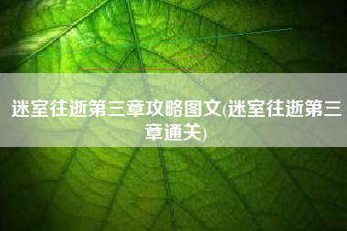 迷室往逝第三章攻略图文(迷室往逝第三章通关)