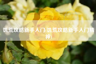 饥荒攻略新手入门(饥荒攻略新手入门精神)