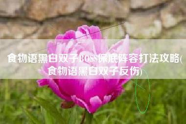食物语黑白双子BOSS保底阵容打法攻略(食物语黑白双子反伤)
